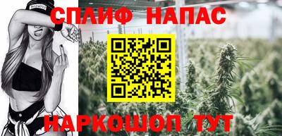 трава Ярославль