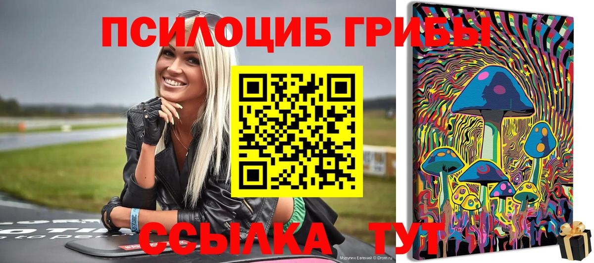 Псилоцибиновые грибы Psilocybine cubensis  Галлюциногенные грибы мицелий  Альметьевск  Вход с VPN 