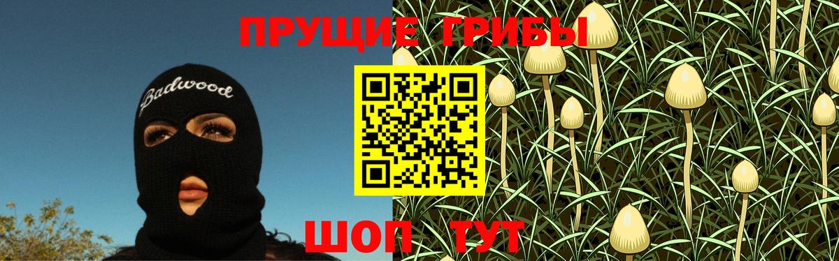 Галлюциногенные грибы прущие грибы Альметьевск